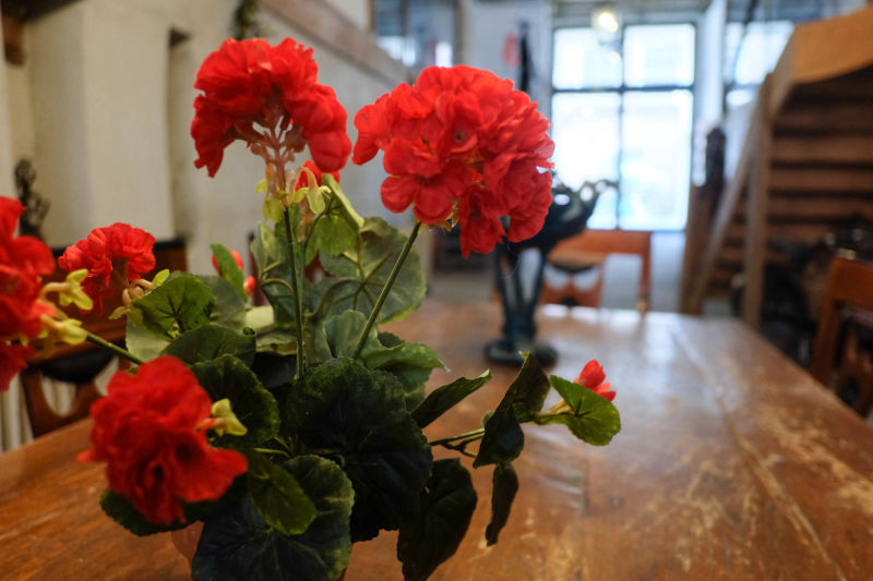 foto detail geranium